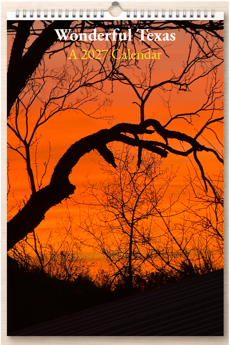 Wonderful Texas: A 2027 Calendar