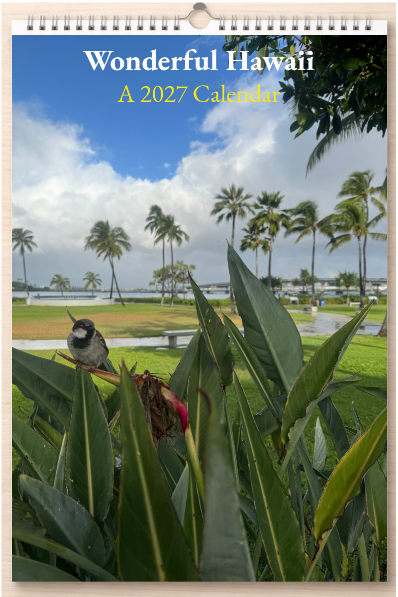 Wonderful Hawaii: A 2027 Calendar