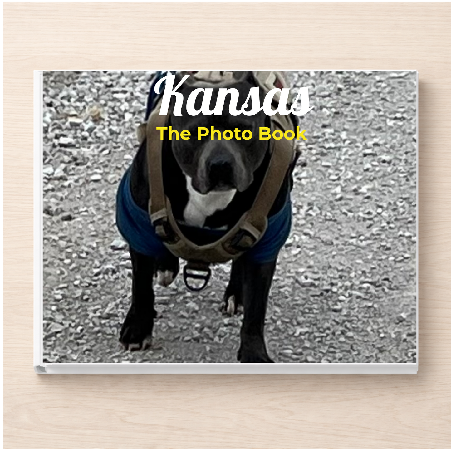 Kansas: The Photo Book