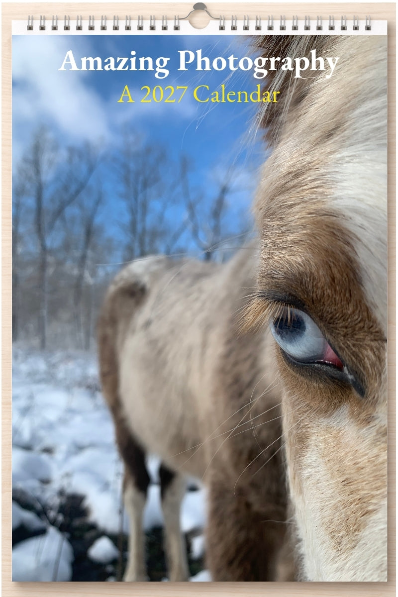 Amazing Photography: A 2027 Calendar