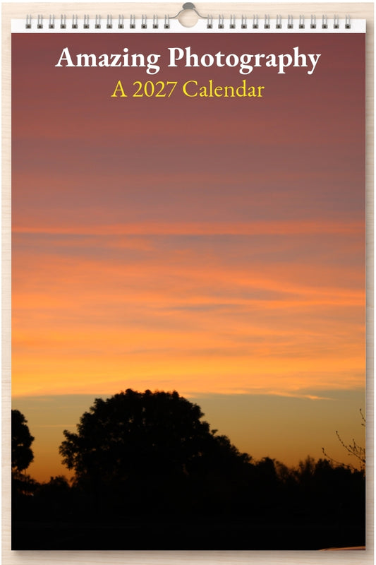 Amazing Photography: A 2027 Calendar