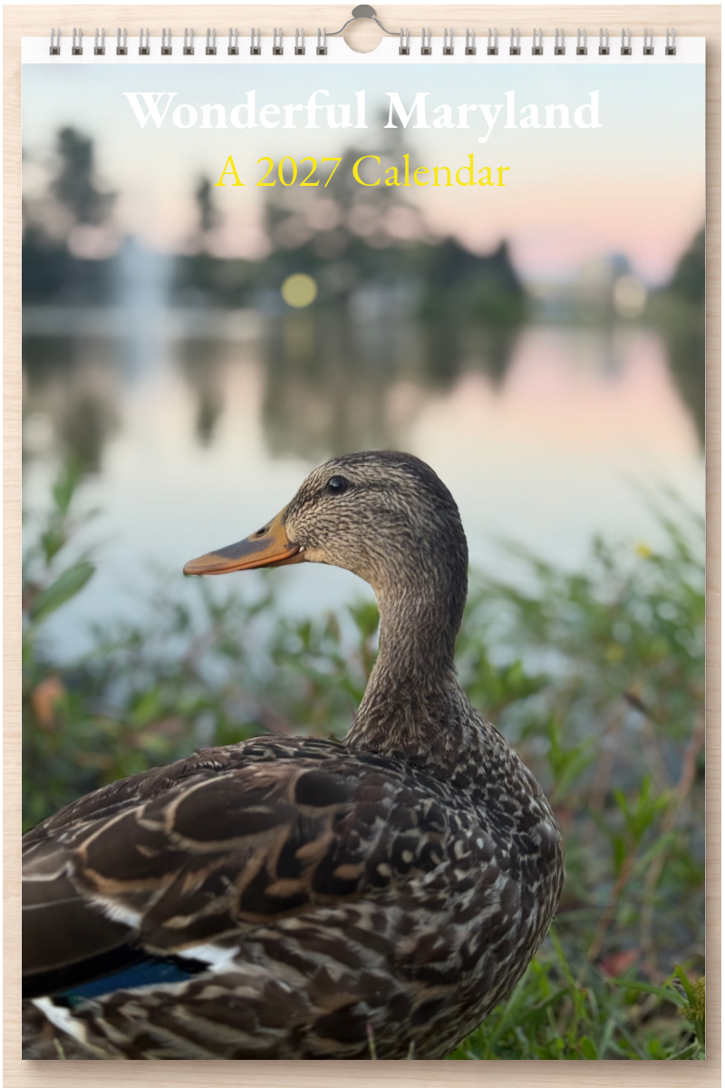 Wonderful Maryland: A 2027 Calendar