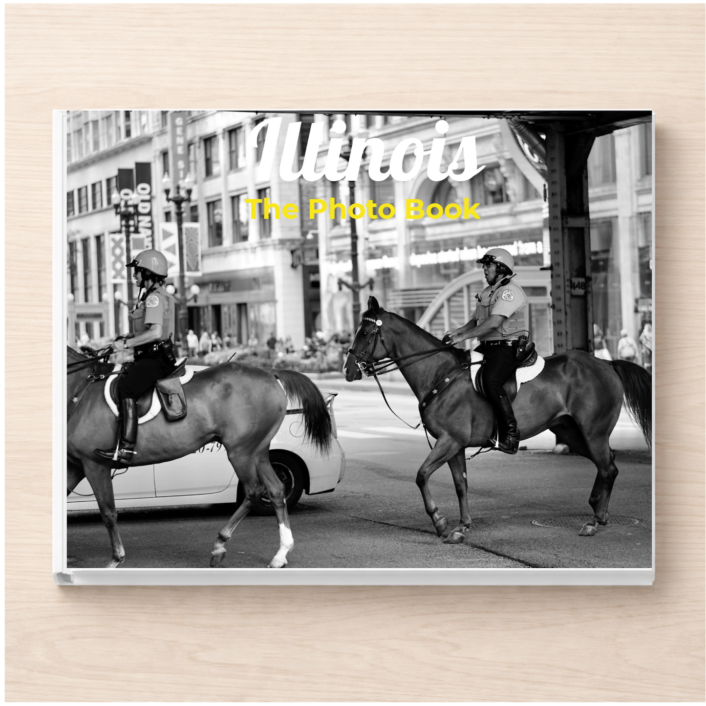 Illinois: The Photo Book