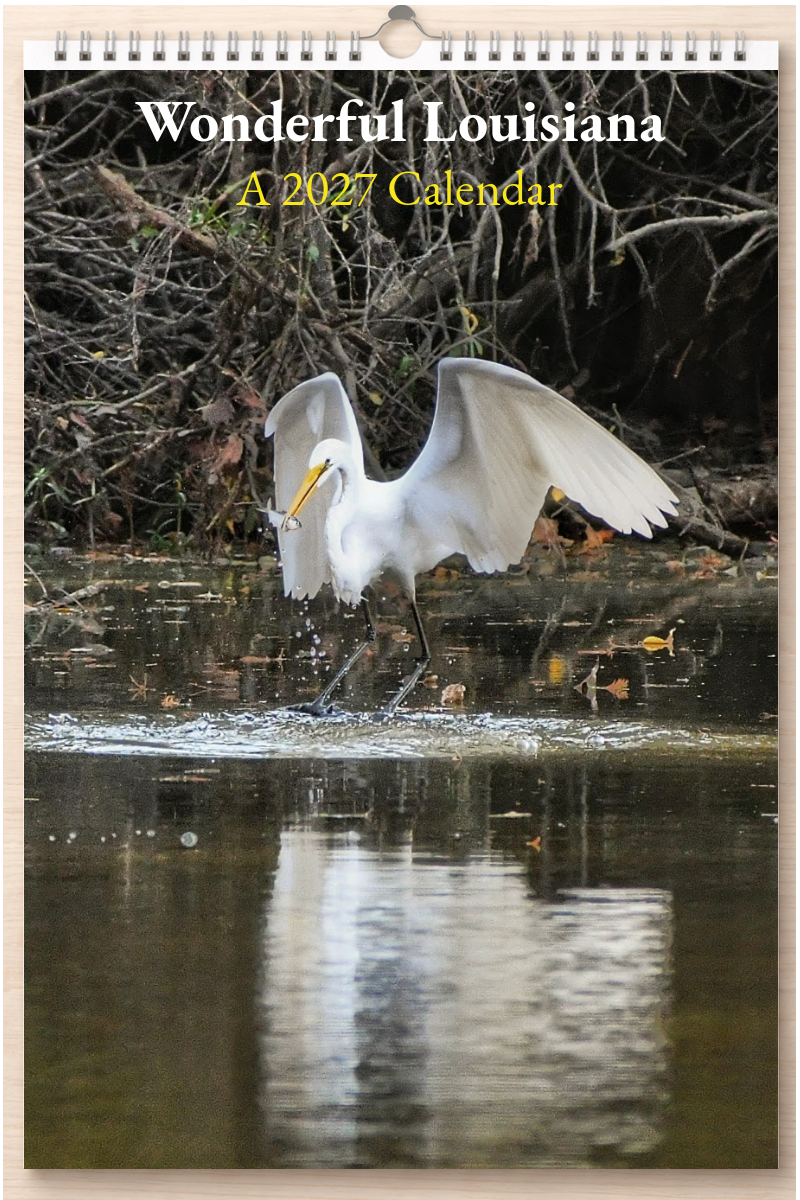 Wonderful Louisiana: A 2027 Calendar