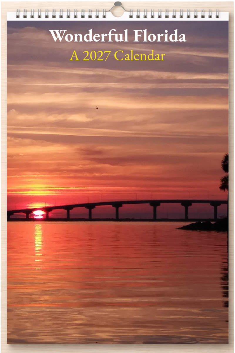 Wonderful Florida: A 2027 Calendar