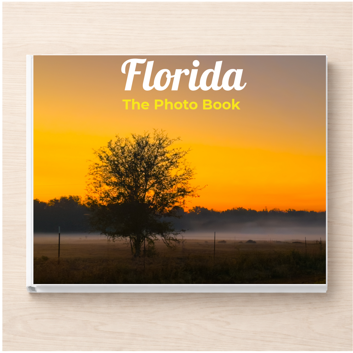 Florida: The Photo Book