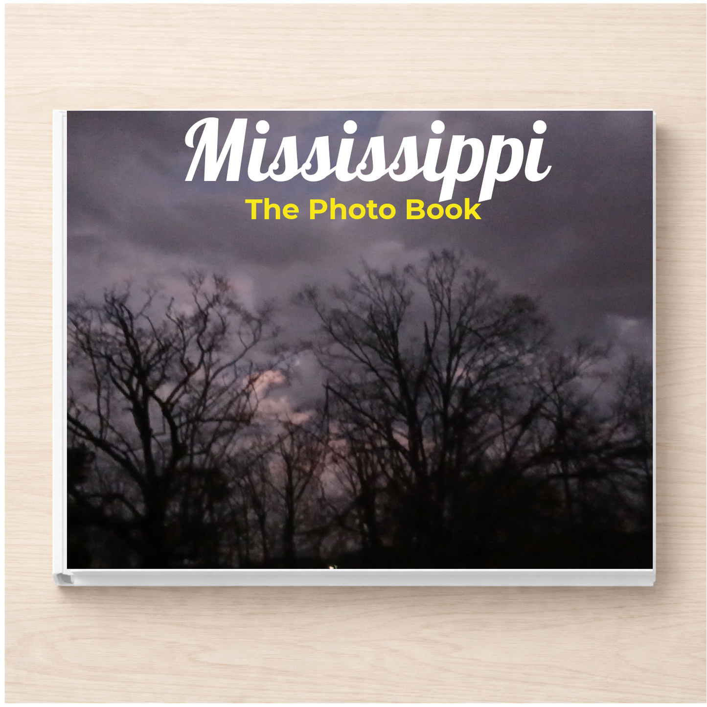 Mississippi: The Photo Book