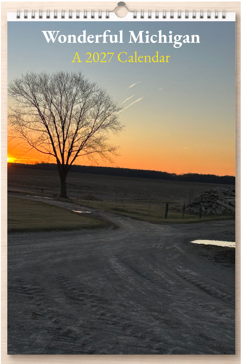 Wonderful Michigan: A 2027 Calendar