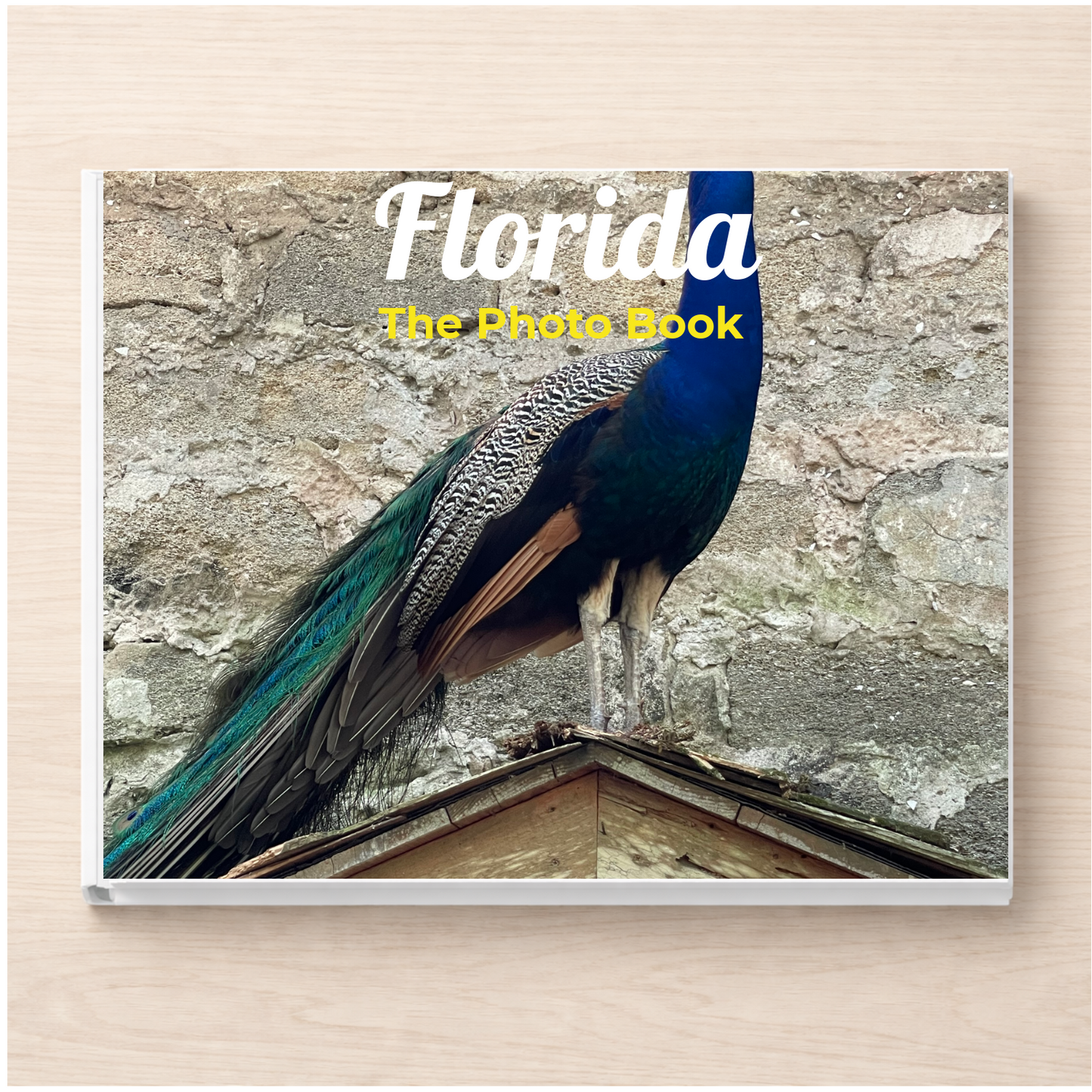 Florida: The Photo Book