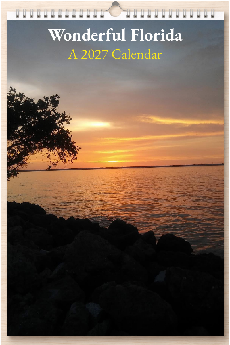 Wonderful Florida: A 2027 Calendar