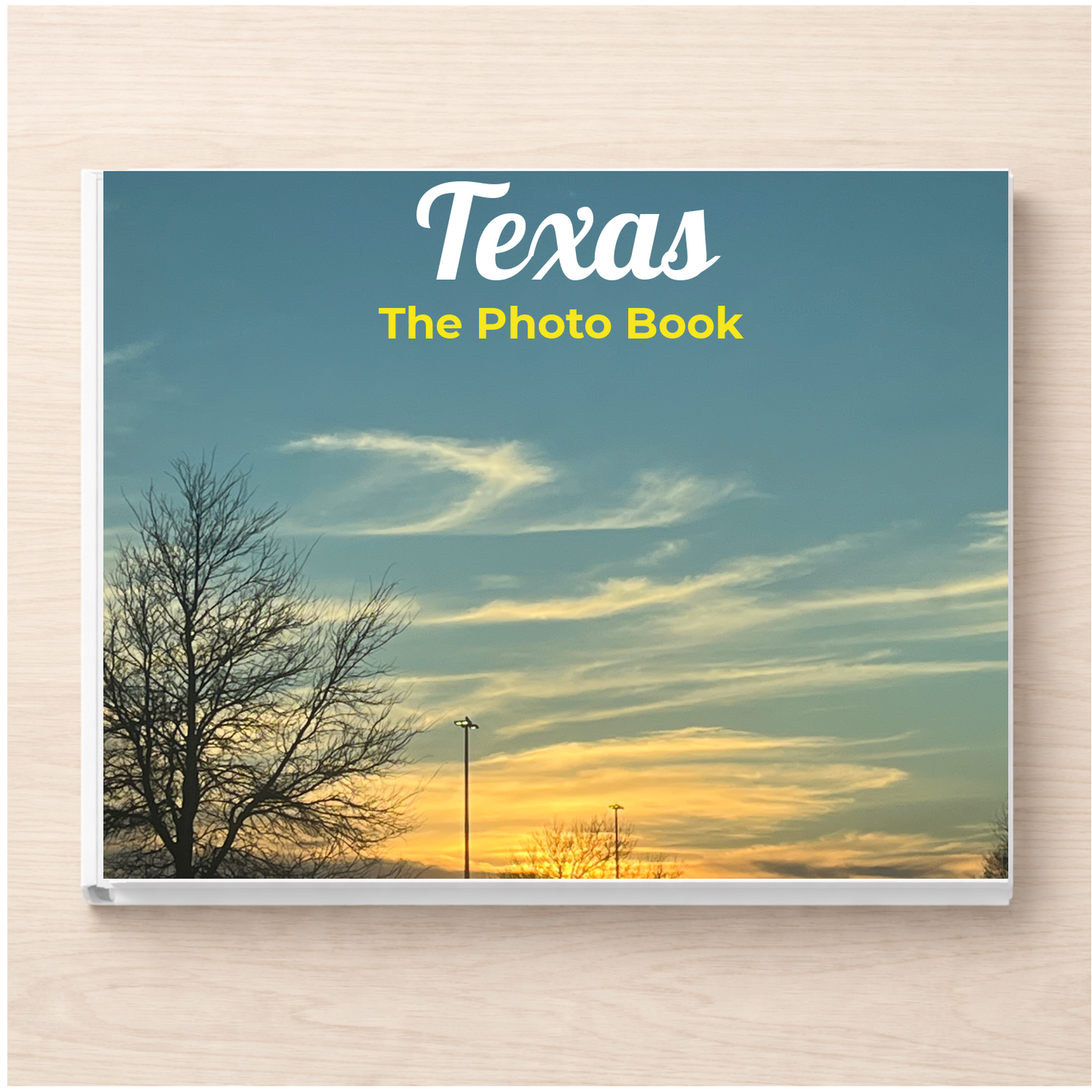 Texas: The Photo Book