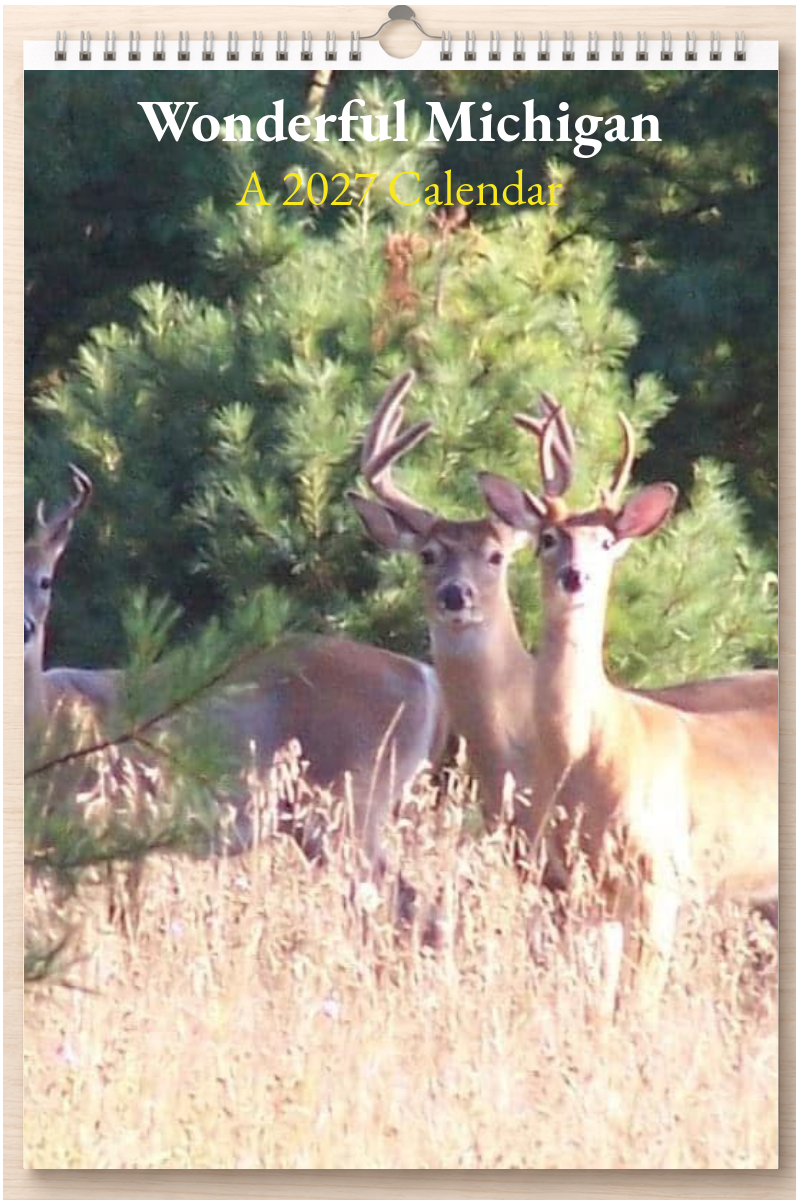 Wonderful Michigan: A 2027 Calendar
