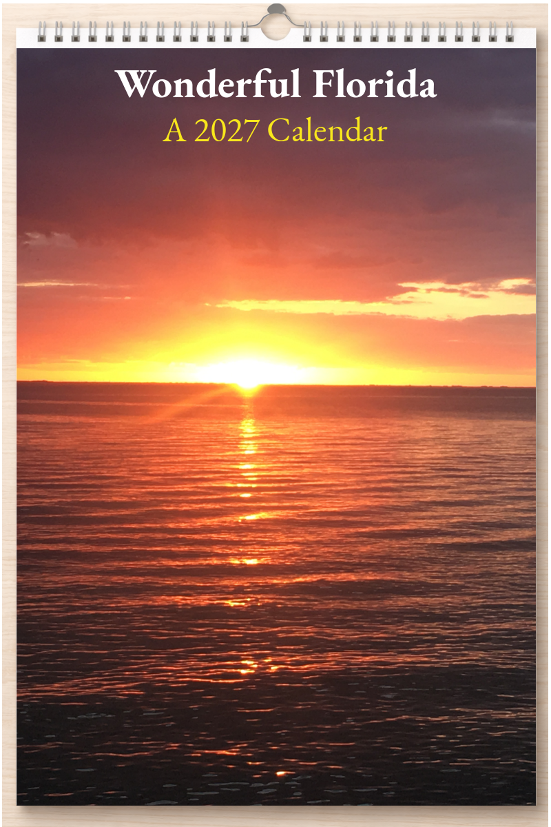 Wonderful Florida: A 2027 Calendar