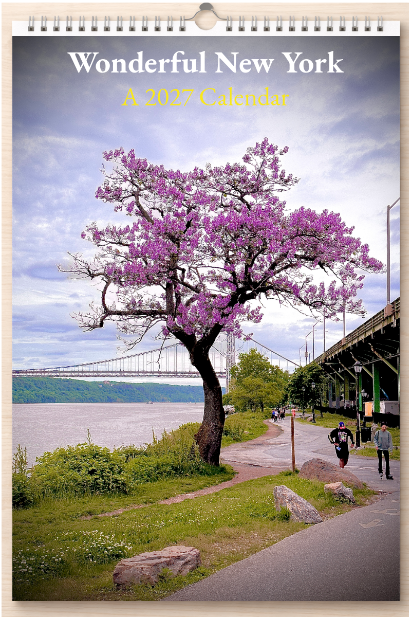 Wonderful New York: A 2027 Calendar