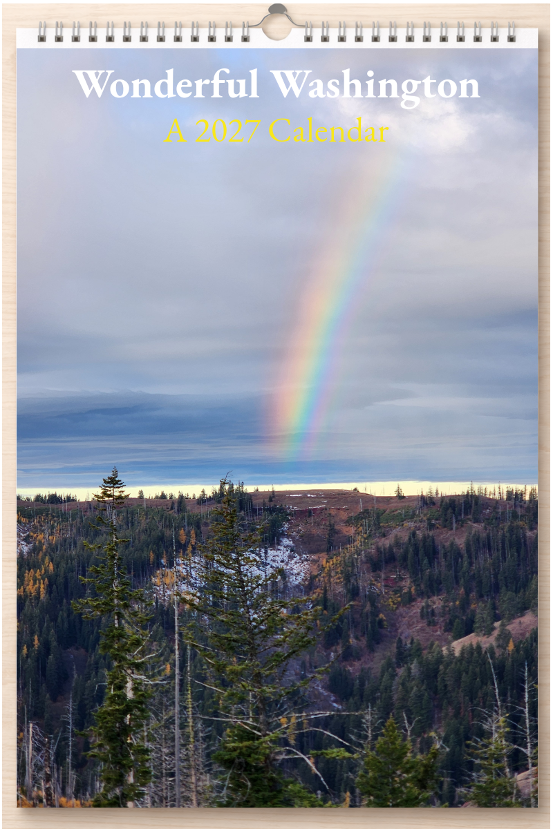 Wonderful Washington: A 2027 Calendar