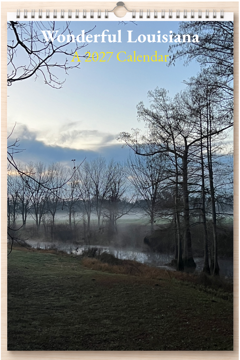 Wonderful Louisiana: A 2027 Calendar