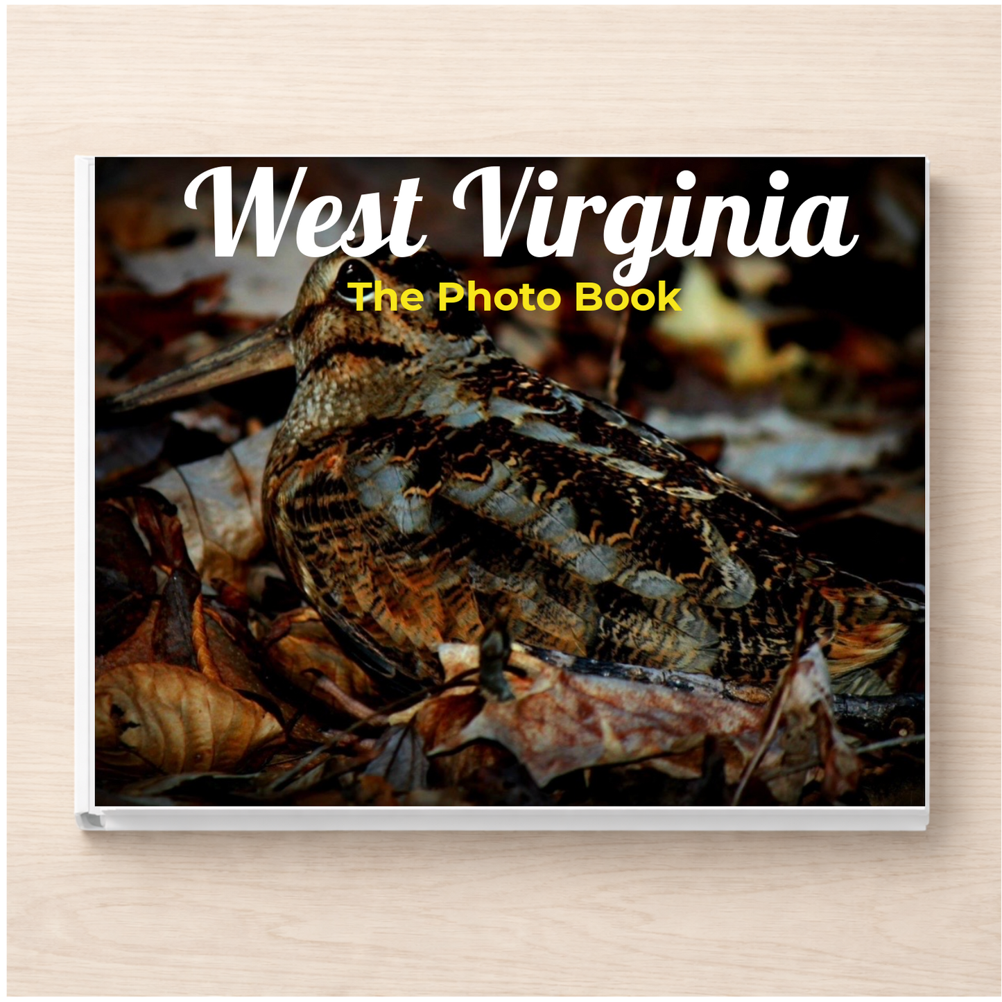 West Virginia: The Photo Book