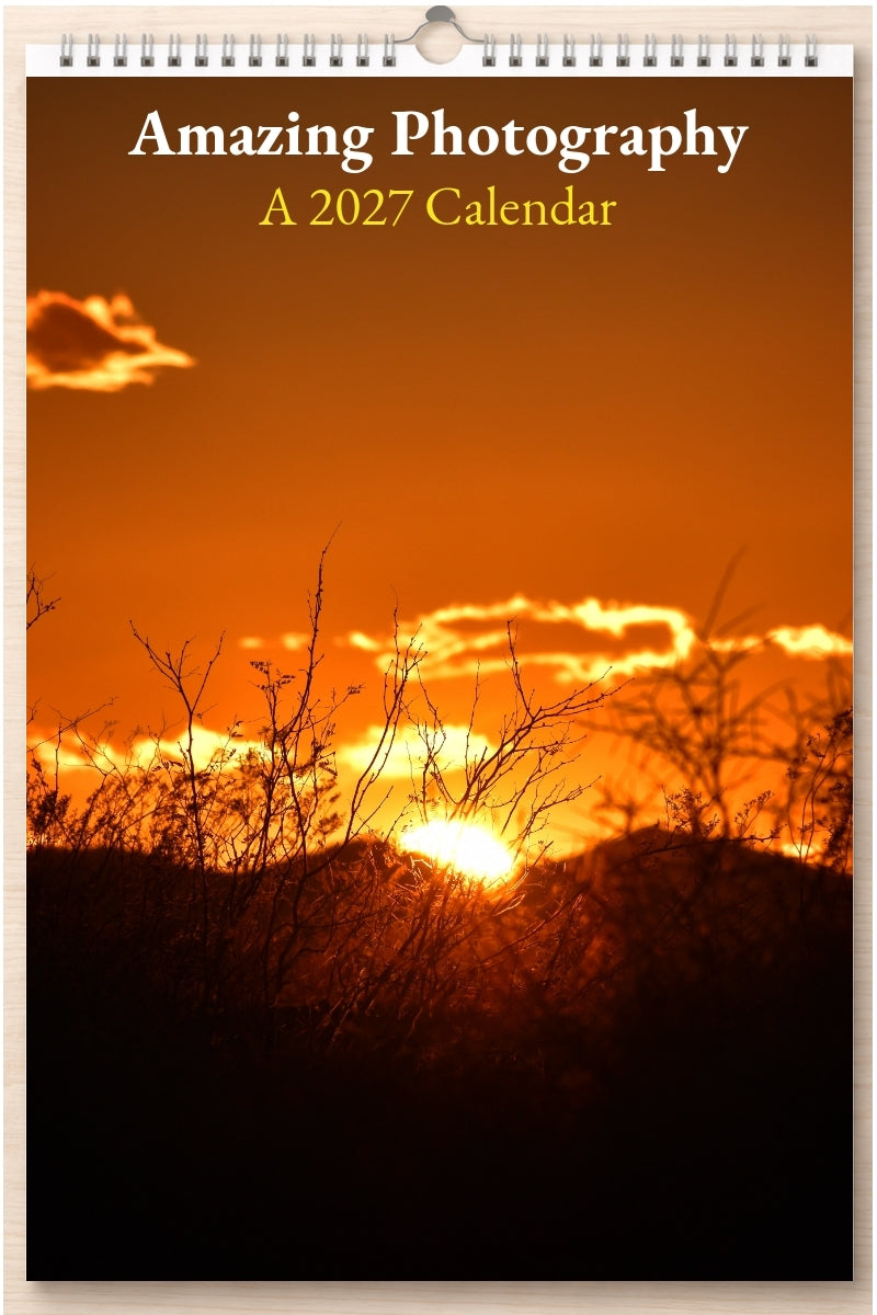 Amazing Photography: A 2027 Calendar