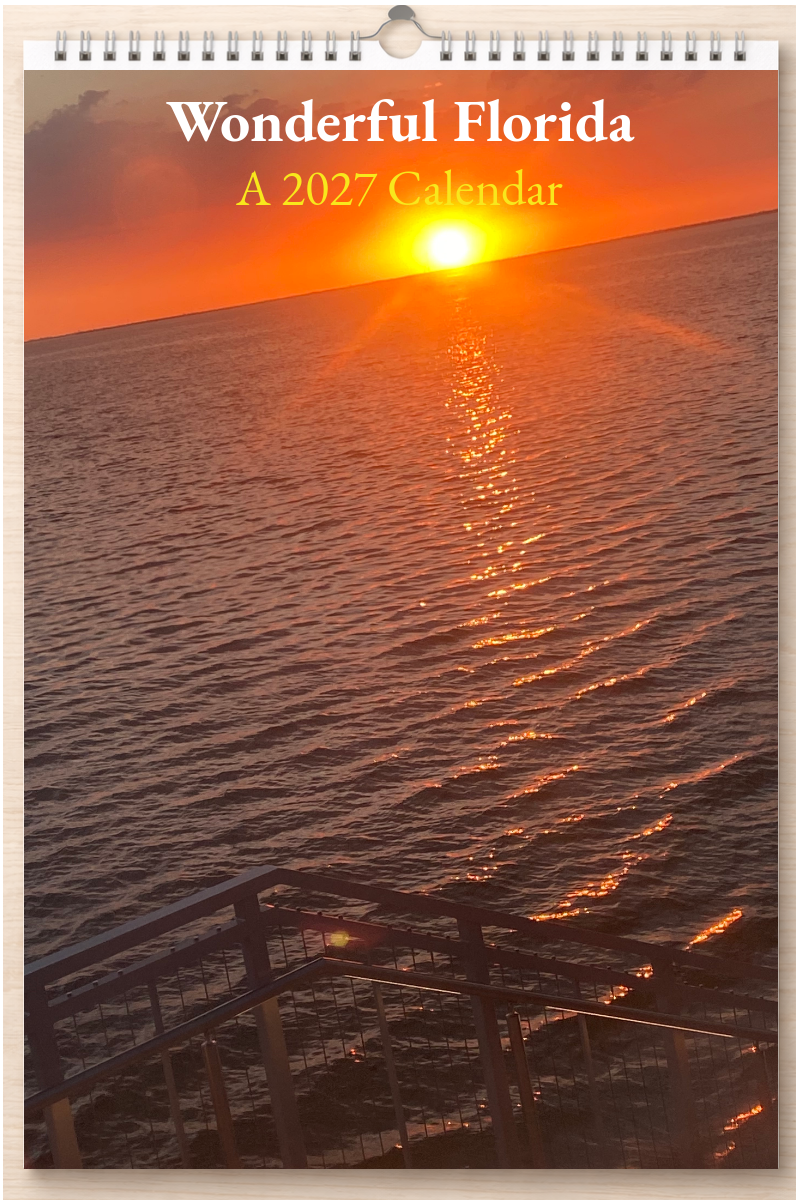 Wonderful Florida: A 2027 Calendar