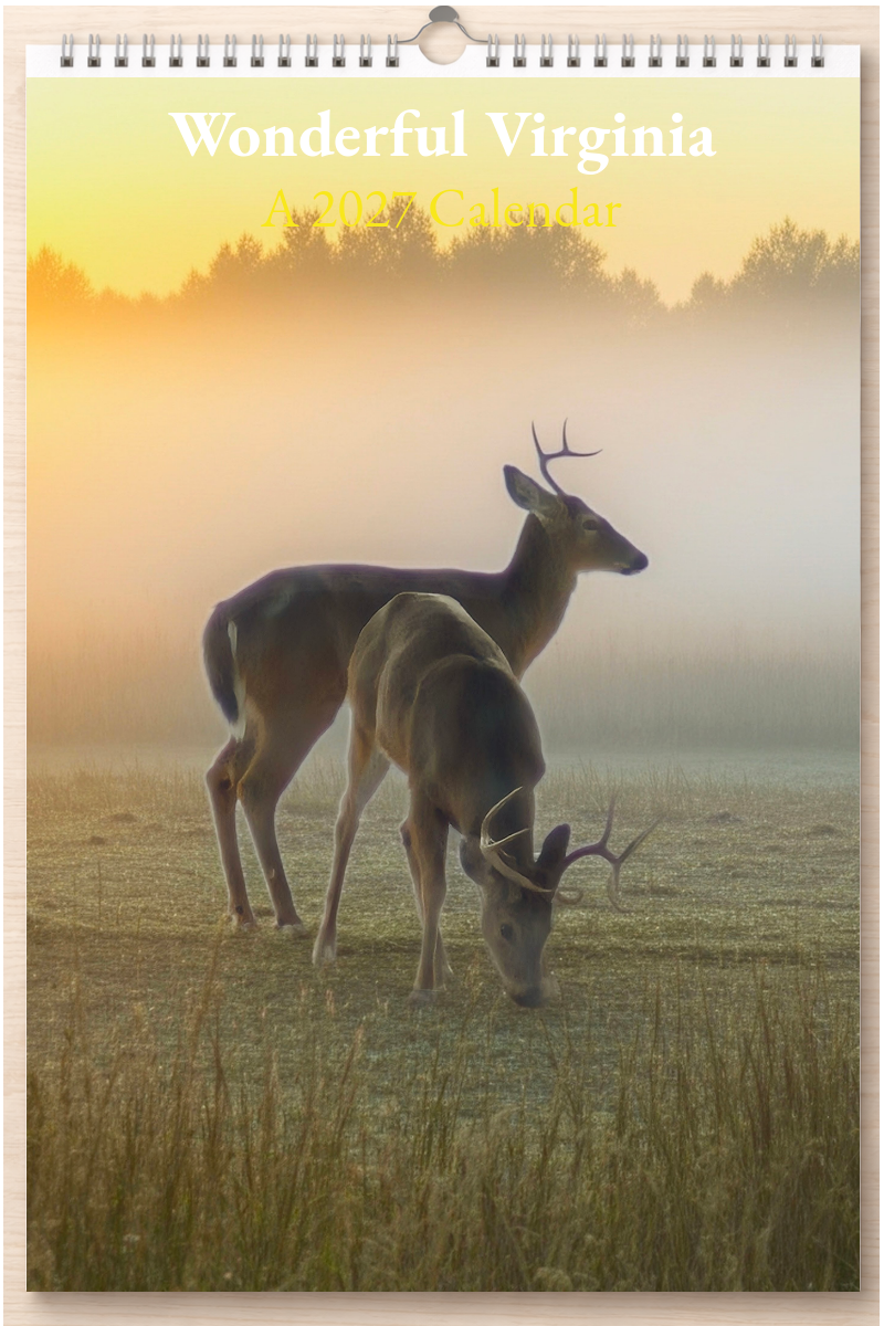 Wonderful Virginia: A 2027 Calendar