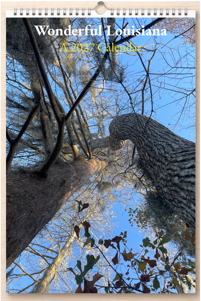 Wonderful Louisiana: A 2027 Calendar