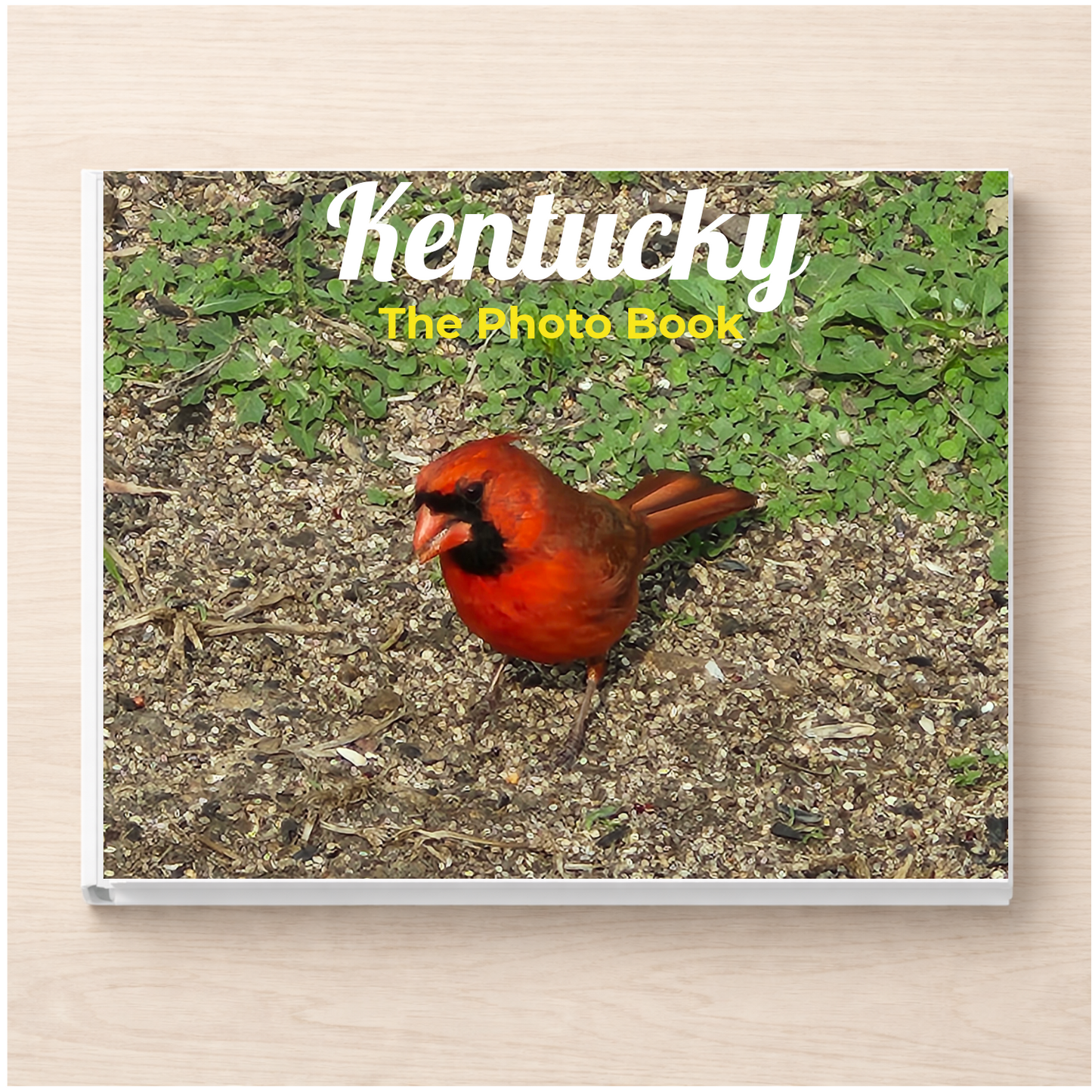 Kentucky: The Photo Book