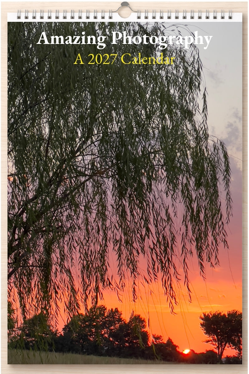 Amazing Photography: A 2027 Calendar