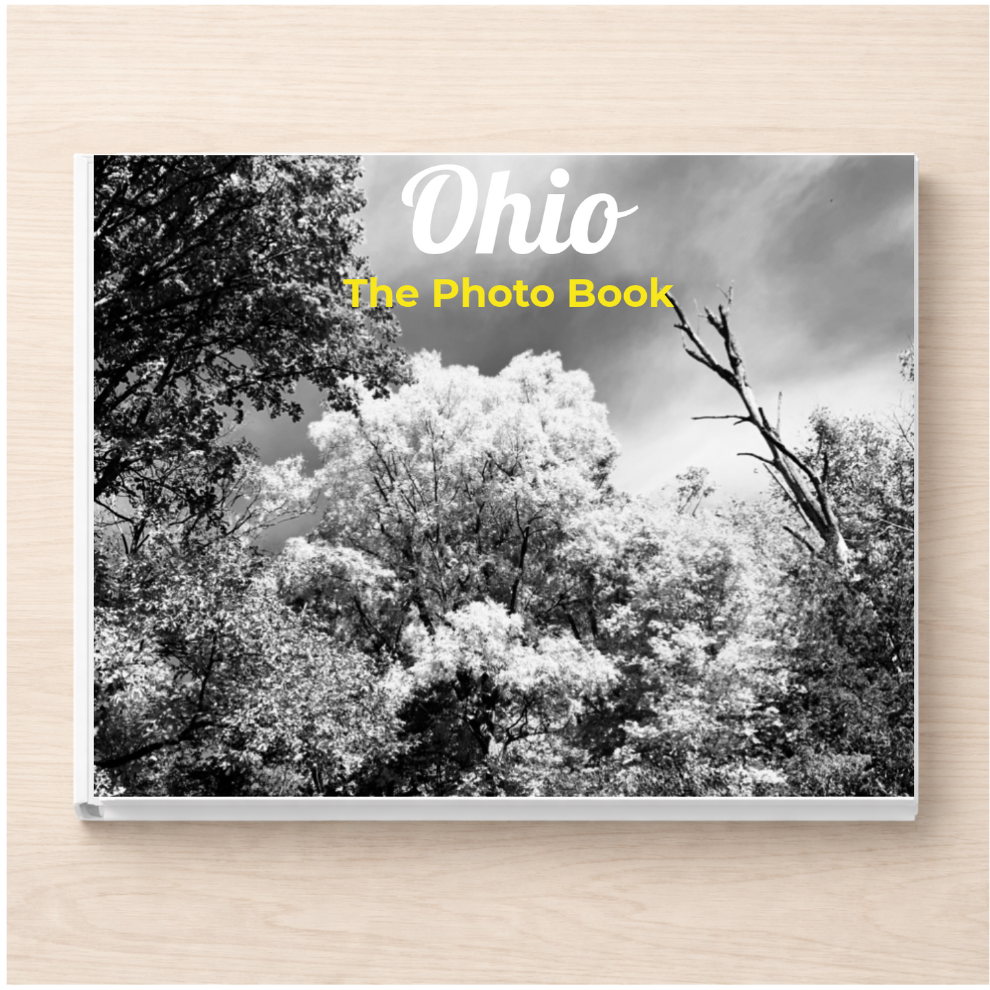Ohio: The Photo Book