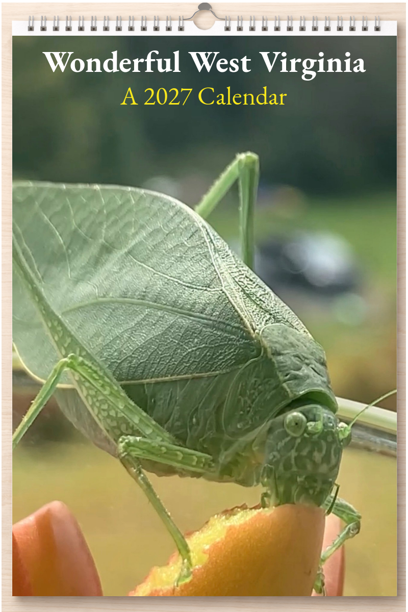 Wonderful West Virginia: A 2027 Calendar