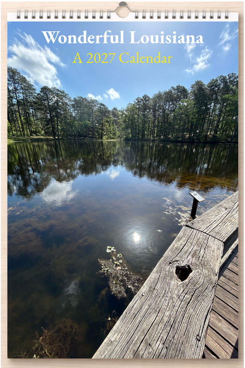 Wonderful Louisiana: A 2027 Calendar