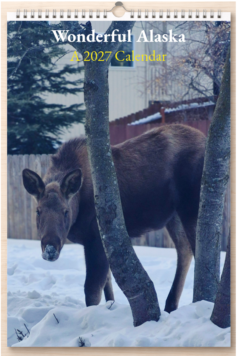 Wonderful Alaska: A 2027 Calendar