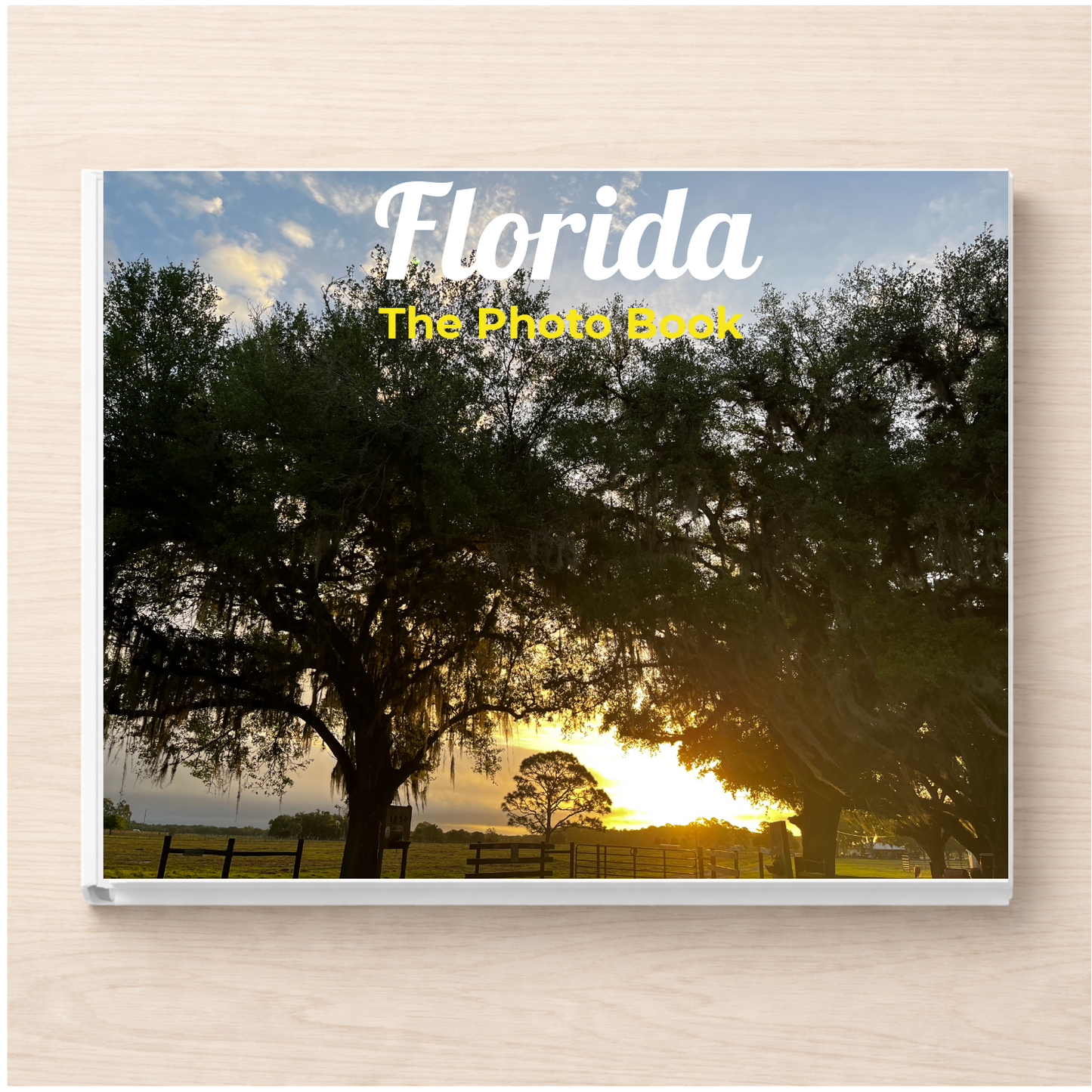 Florida: The Photo Book