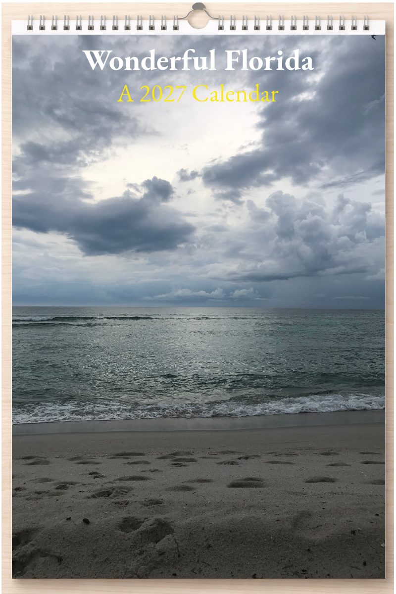 Wonderful Florida: A 2027 Calendar