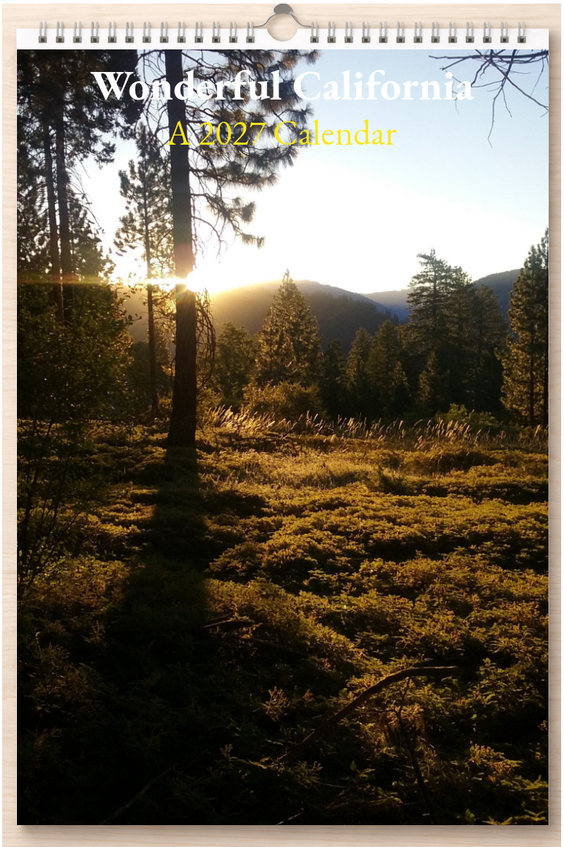 Wonderful California: A 2027 Calendar