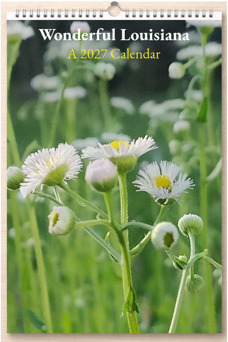 Wonderful Louisiana: A 2027 Calendar
