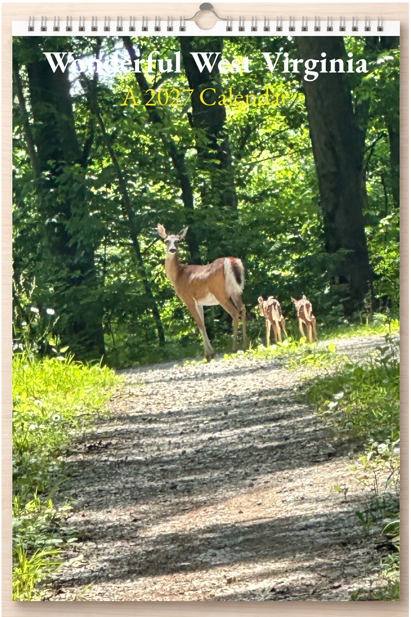 Wonderful West Virginia: A 2027 Calendar
