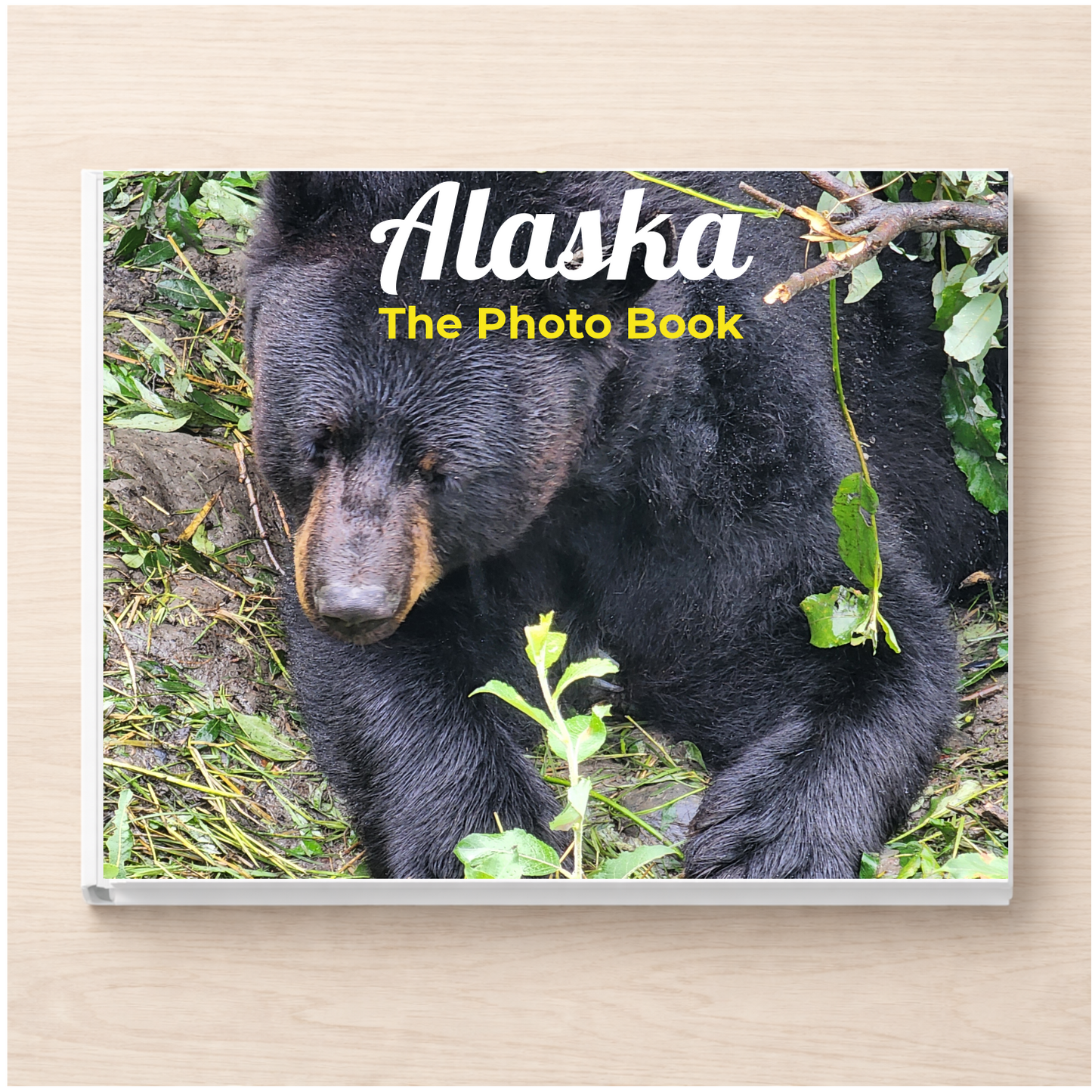 Alaska: The Photo Book