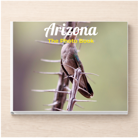 Arizona: The Photo Book