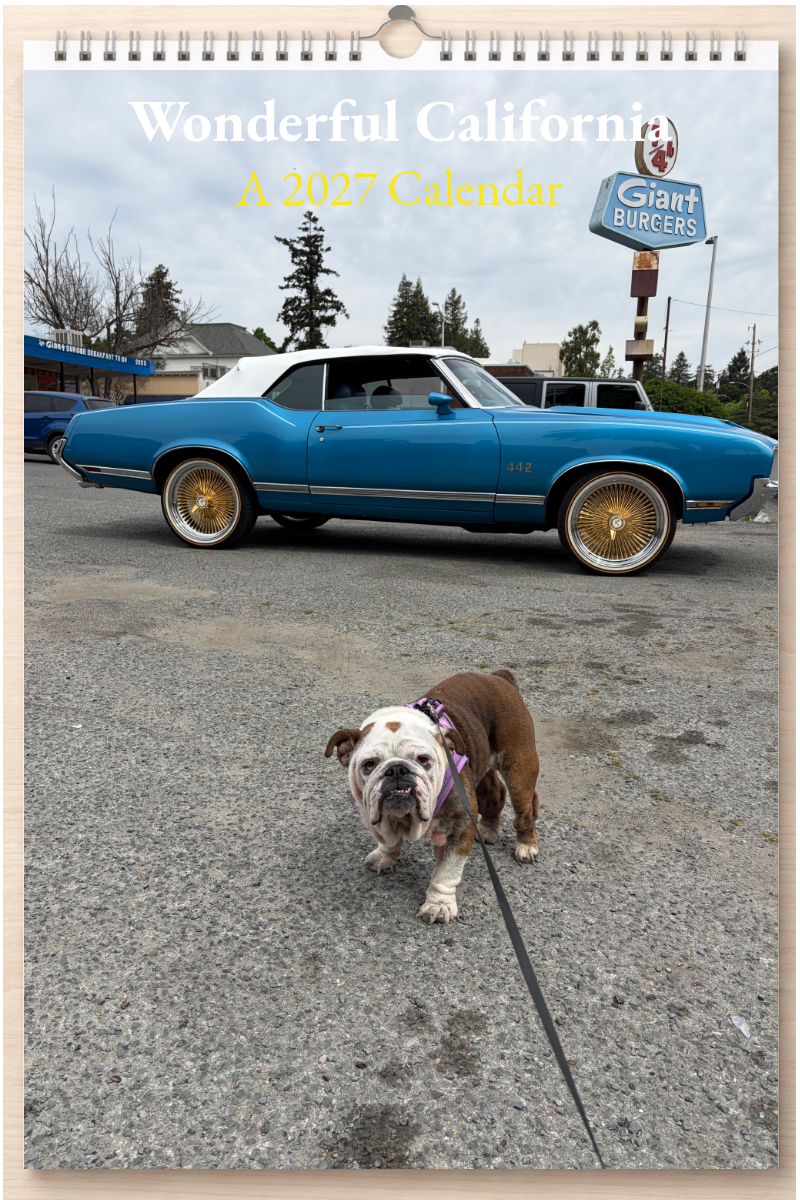 Wonderful California: A 2027 Calendar