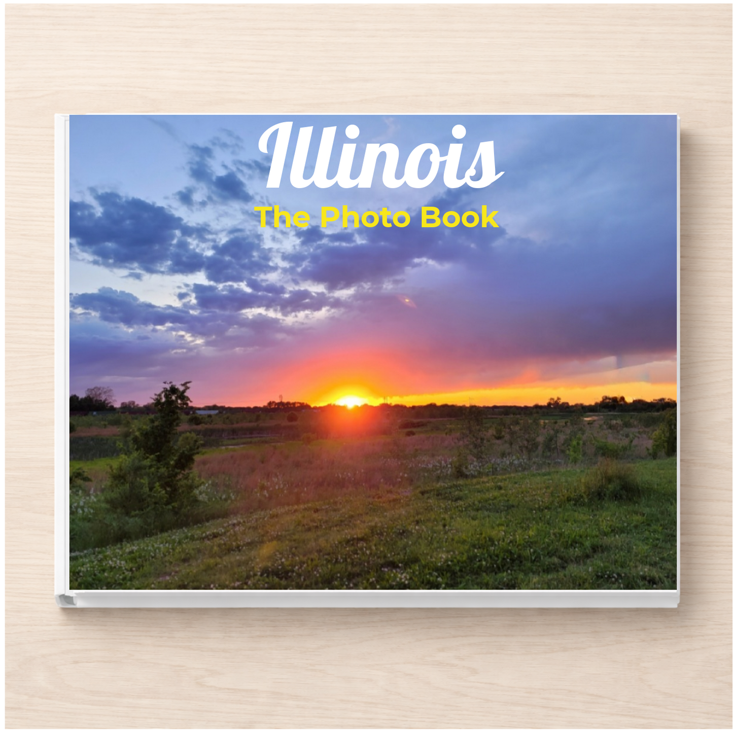 Illinois: The Photo Book