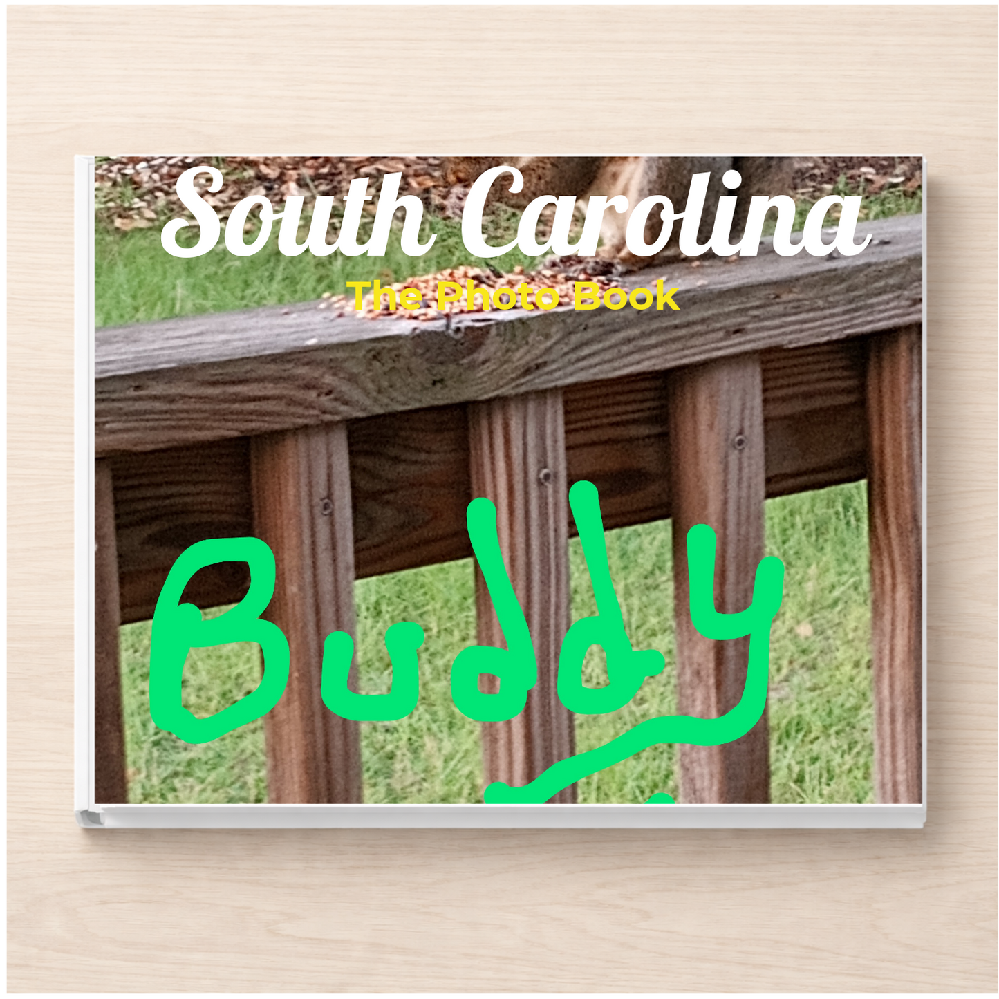 South Carolina: The Photo Book