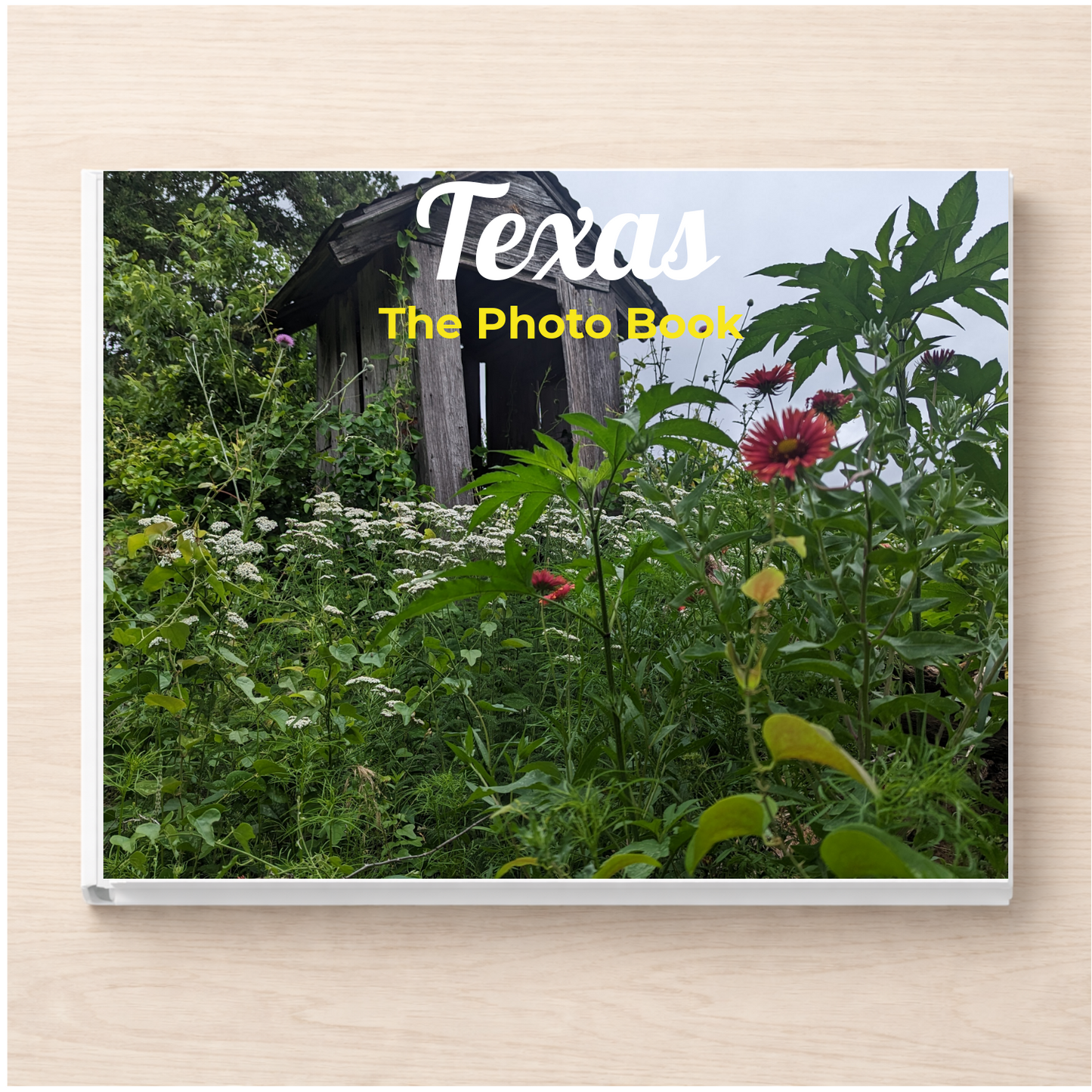 Texas: The Photo Book
