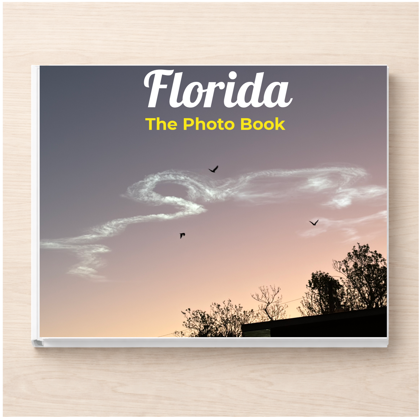 Florida: The Photo Book