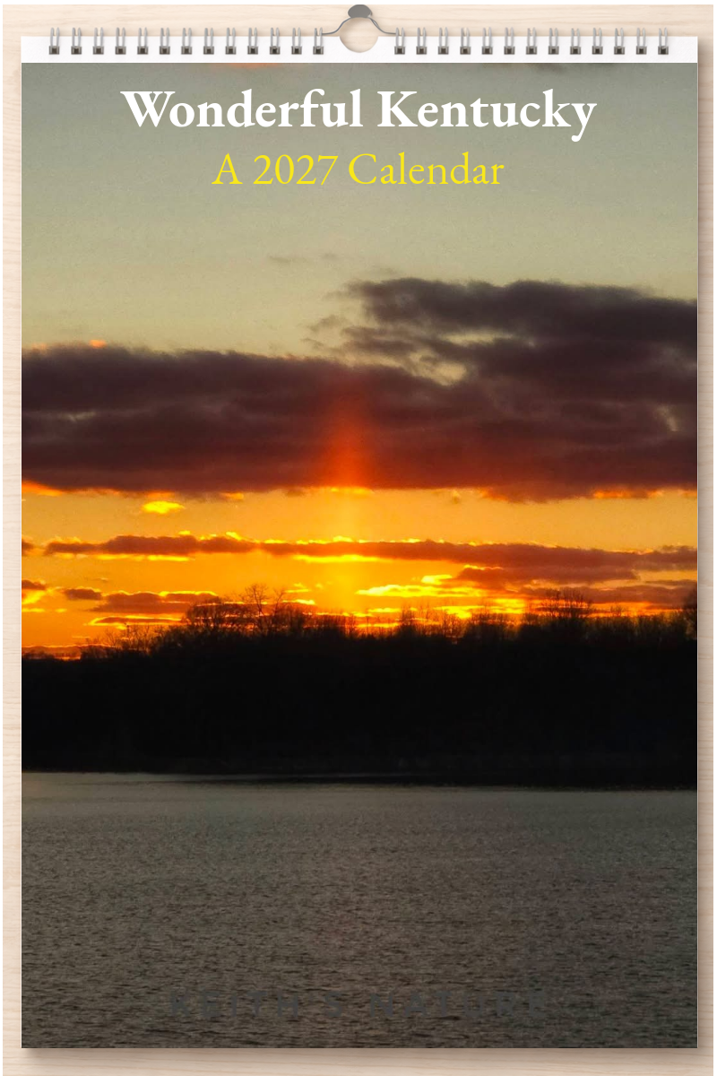 Wonderful Kentucky: A 2027 Calendar