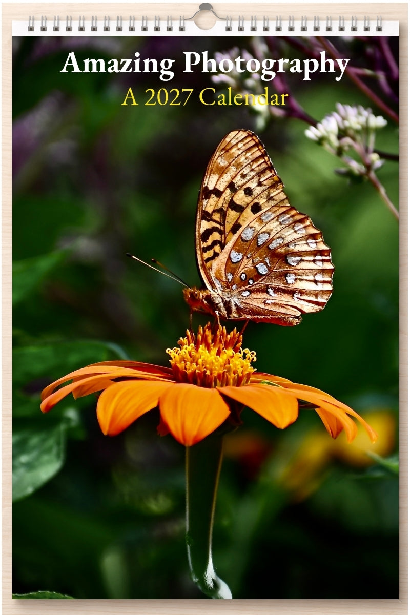 Amazing Photography: A 2027 Calendar