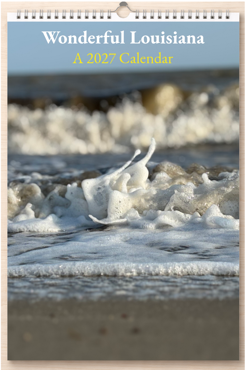 Wonderful Louisiana: A 2027 Calendar