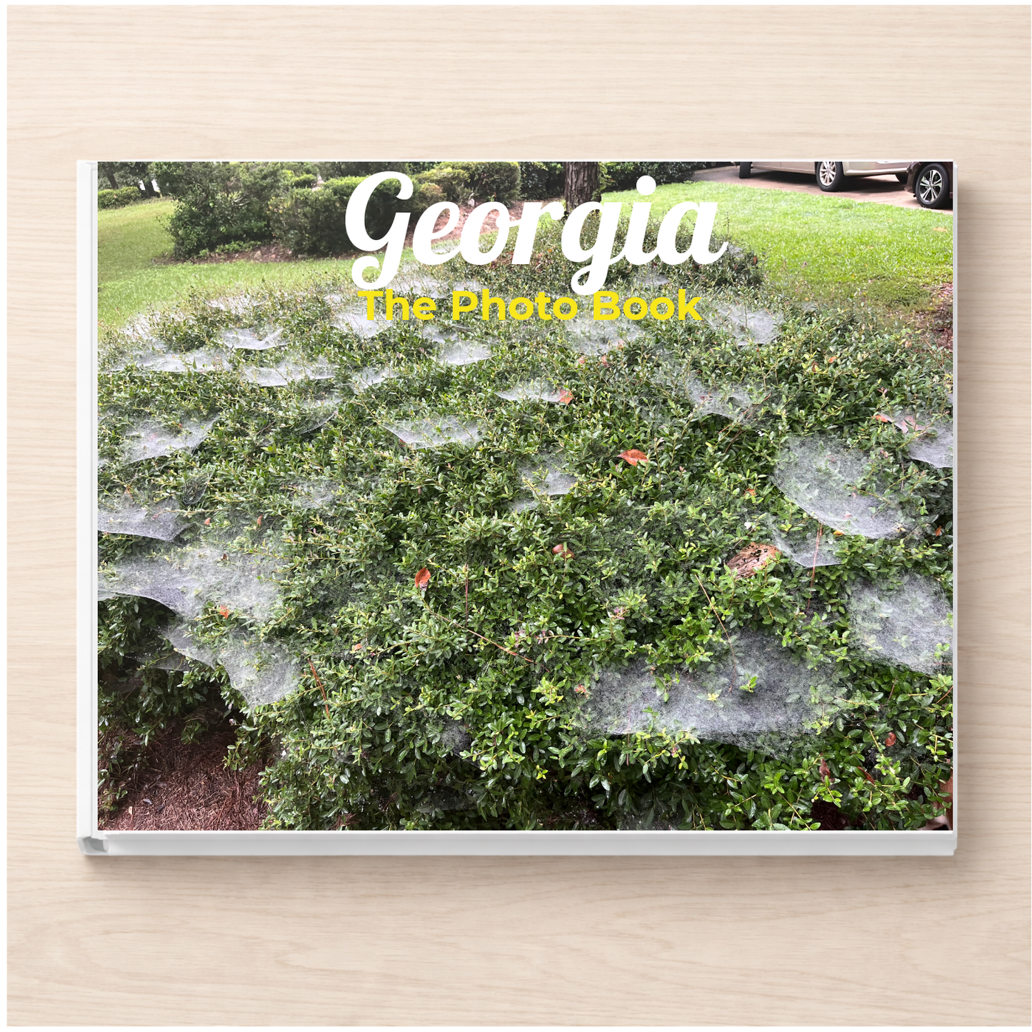 Georgia: The Photo Book