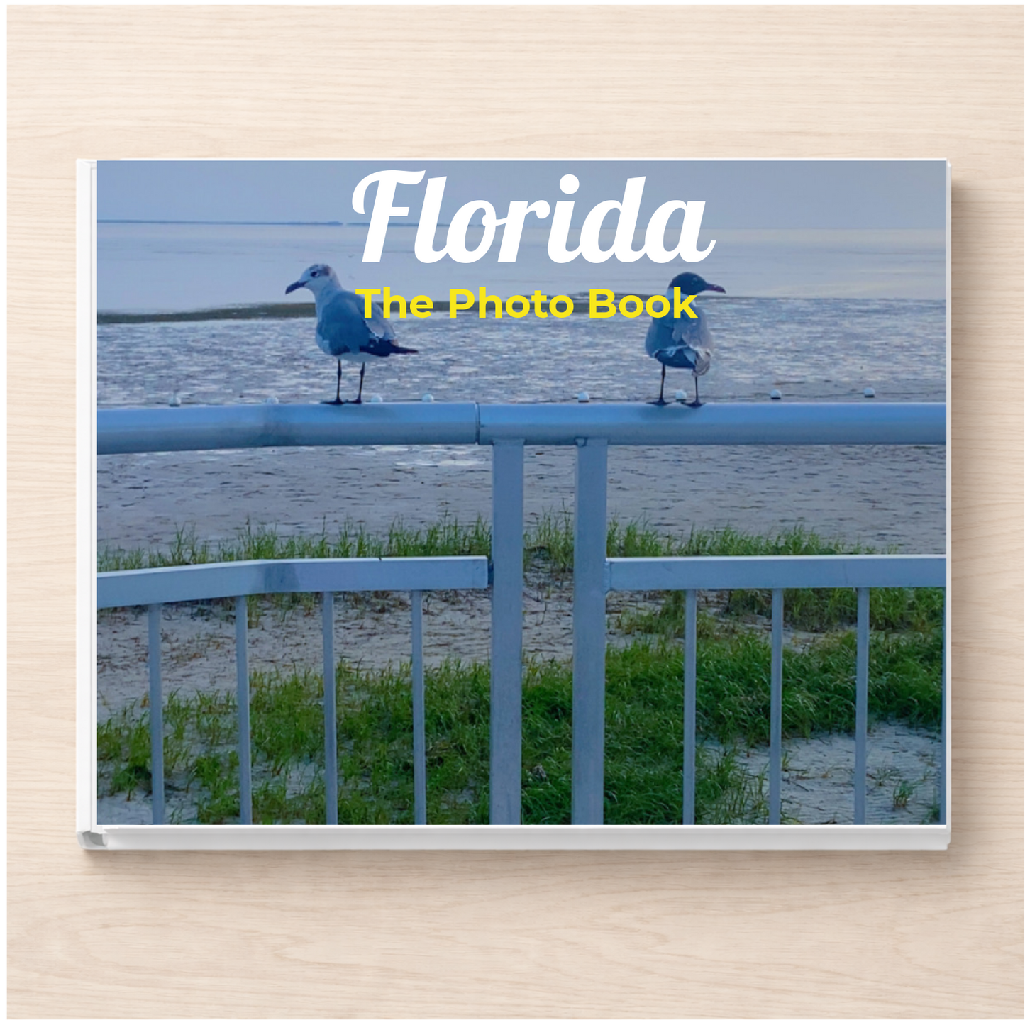 Florida: The Photo Book
