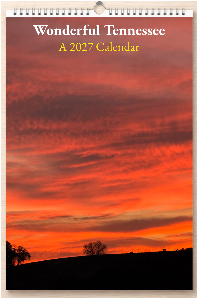 Wonderful Tennessee: A 2027 Calendar