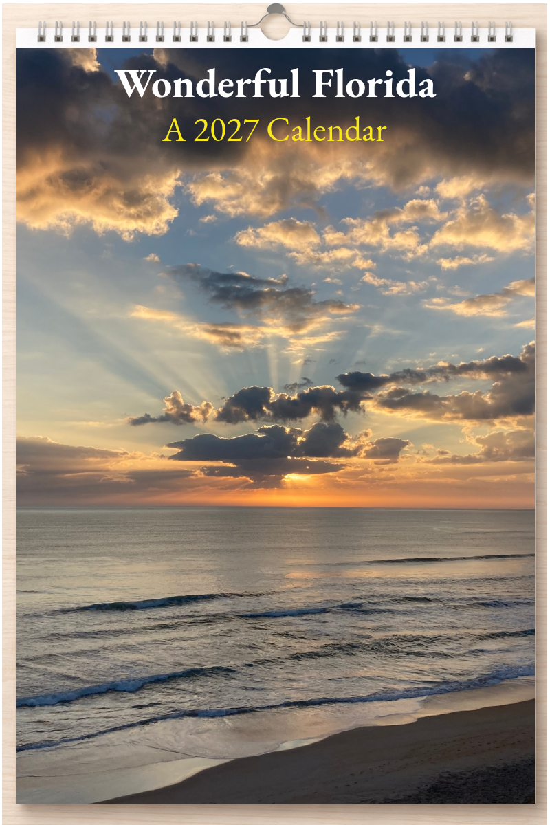 Wonderful Florida: A 2027 Calendar